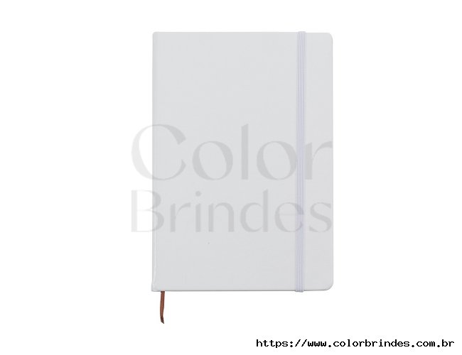 Caderneta Sint�tica com Fecho